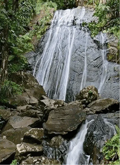 Group logistics and excursions