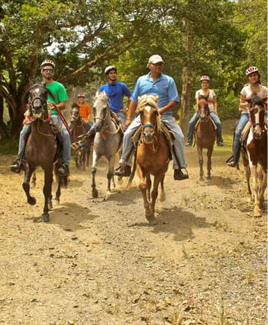 Horseback Riding at The Rainforest