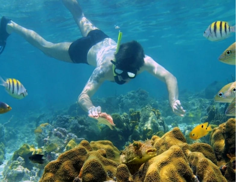 Puerto Rico, Beyond the Postcard: Moments You...