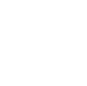 Passion for excellent service